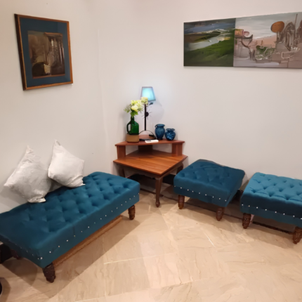 Furniture Multiverse 4 Seater Puffy Sofa Set